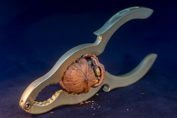 nutcracker and walnut