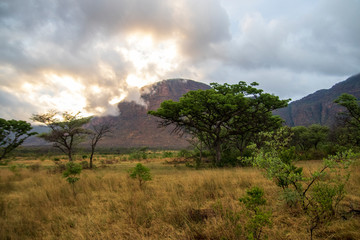 African Savanna Landscape, Natural Park