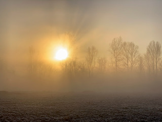 Mist on the river Adda in northern Italy.