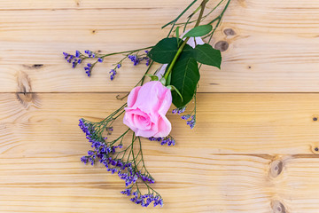 Rosarote Rose mit  blauen Schnittblume 