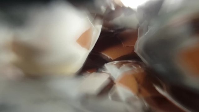 Cracked and broken pieces of brown chicken egg shells scattered across a white dinner plate with surreal optical lens blur