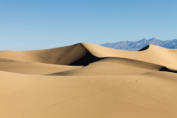 Fototapeta na wymiar Mesquite Flat Sand Dunes 6