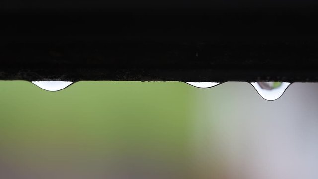 Regen tropft langsam vom Dach, Hintergrund soft hellgr&uuml;n