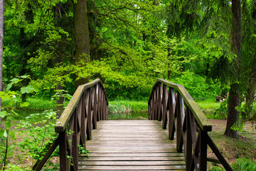 Fototapeta premium Bridge crossing a small lake in the forest of Zamecky Park, in Hluboka nad Vltavou (Czech Republic)