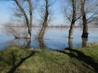 Obraz na płótnie Canvas High water level of the river and flooded trees with shadows