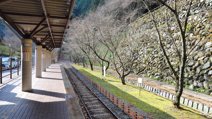 マイントピア別子坑内電車駅１