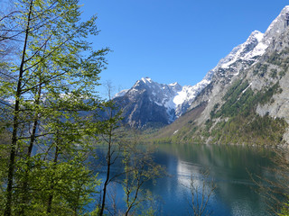 Fototapeta na wymiar Frühling am Königssee - Berchtesgadener Alpen