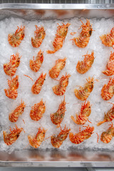 Boiled sea prawns lie on ice crumbs. Shrimps are laid out evenly in the large metal tray of the refrigerator.