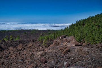 Wonderful views of the nature of Tenerife