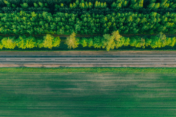 Aerial view - a direct highway in a field with a hedge on the side of the summer forest