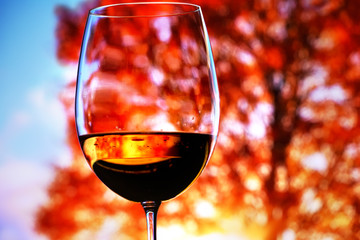 Reflection of autumn sunny landscape in a glass with wine against the backdrop of a colorful canopy tree in the sunlight. rest in the autumn park.