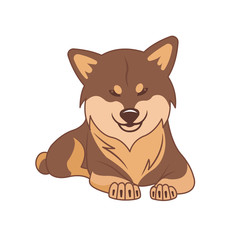 Shiba inu dog on a white background.