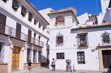 The traditional architecture of Seville in the old city. Andalusia, Spain.