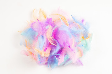 Colorful feather background, isolated on white.
