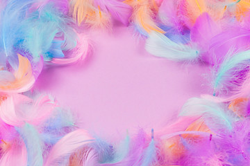 Colorful feather background