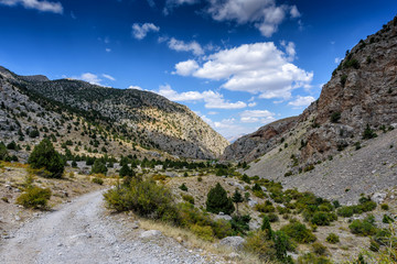Mountain landscape with trees in the Turkish national Park aladag in summer day