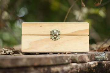 Small wooden box with metal latch in natural outdoor bush setting