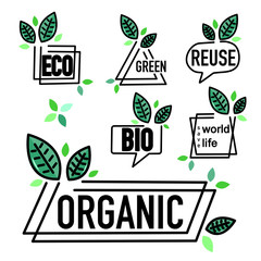 Leaf icon from eco-friendly concepts.