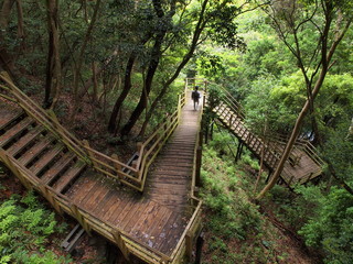 河津七滝の遊歩道