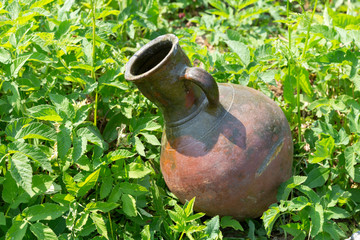 Ancient jug on the green grass