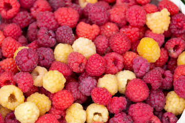 White and red raspberries taken in close-up