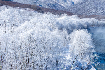 北海道の冬の風景　富良野の樹氷