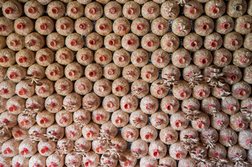 Straw Mushroom Growing Bags Stacked in Mushroom Farm