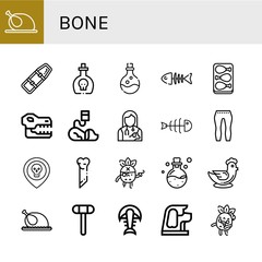 bone icon set