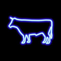 Blue neon sign of cow on black background. Vector illustration