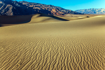The gentle slopes of the dunes