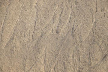  original background of golden sand in the dunes on a sunny day