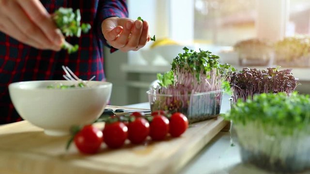 woman prepare fresh raw vegan salad from microgreens and vegetables