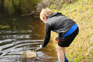 Young boy catching tadpoles in natural water hole with net and bucket