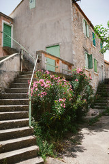 Fototapeta na wymiar Insel, Kroatien, Blumen, Haus