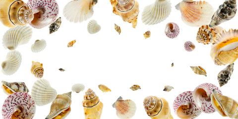 Summer holidays background. Frame of trendy natural organic color seashells, red starfish isolated on white backdrop Summer is coming concept