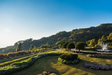 Flower Garden on Doi Inthanon, the highest peak in Thailand, Chiang Mai, Thailand.