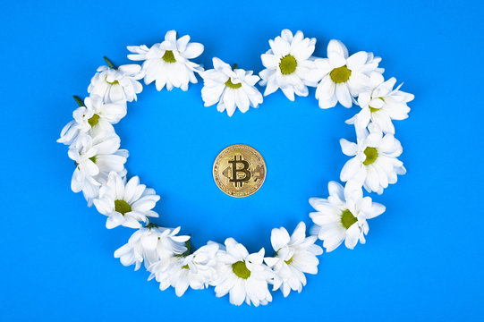 Spring cryptocurrency. Bitcoin in natural colors. eco cryptocurrency. Heart shaped bitcoin in daisies. flat place for writing. On a blue lining.