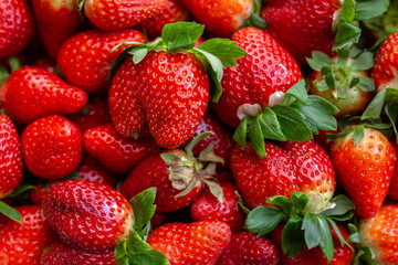 strawberries on a wooden background