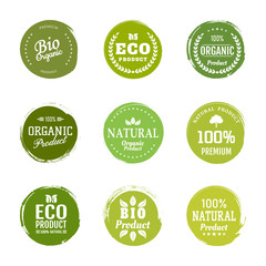 Sign label,textured emblem set. Organic design template. Green eco food label.