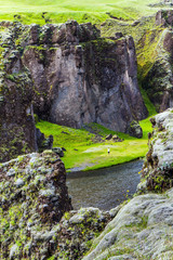 The stream with melted glacial water