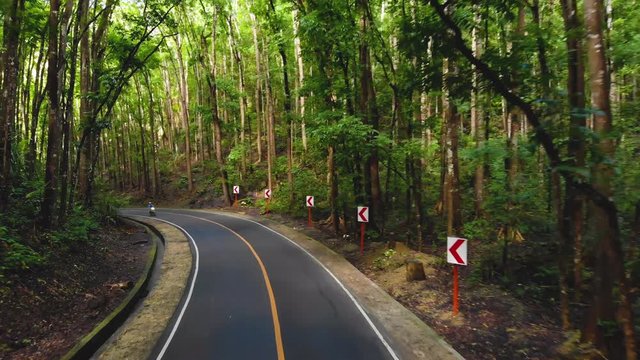 Motorbike or moped drive narrow asphalt road in a dense jungle forest. Man-made forest, Philippines, Bohol