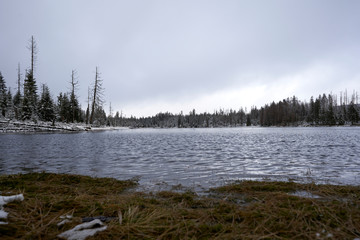 Fototapeta premium Winter landscape in the harz mountains