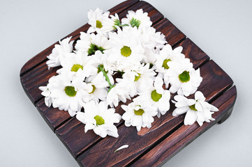Chamomile colors on a wooden background. Springtime. Natural cosmetic. The concept of natural medicine. flat lay.