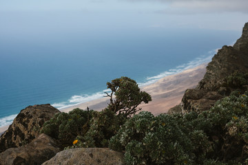 natur von oben, insel, 