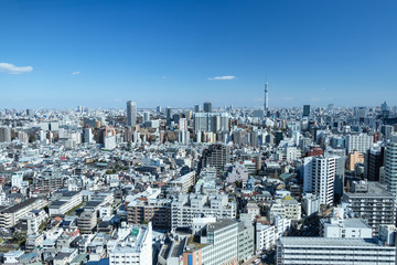 青空を背景に文京区から見た墨田川方向の景色