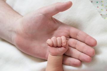 Small hand of a newborn baby on the background of the big palm of his father