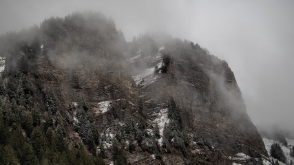Foggy cliffside