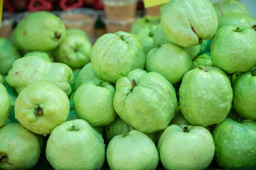 Fresh green guava fruits are arranged in groups.