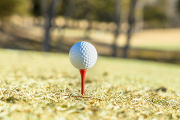 冬の晴れた日のゴルフ場のティーグラウンド