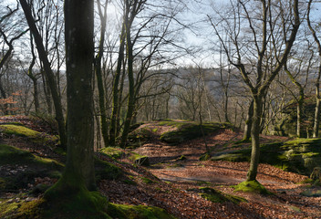 Müllerthal in der Eifel in Luxemburg